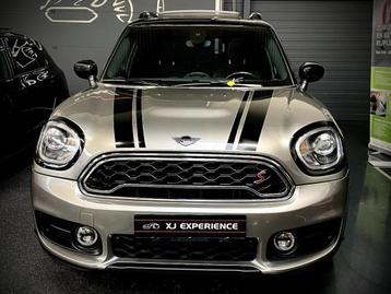 Mini Mini Countryman 2.0 Cooper S White Silver Edition PANO  beschikbaar voor biedingen