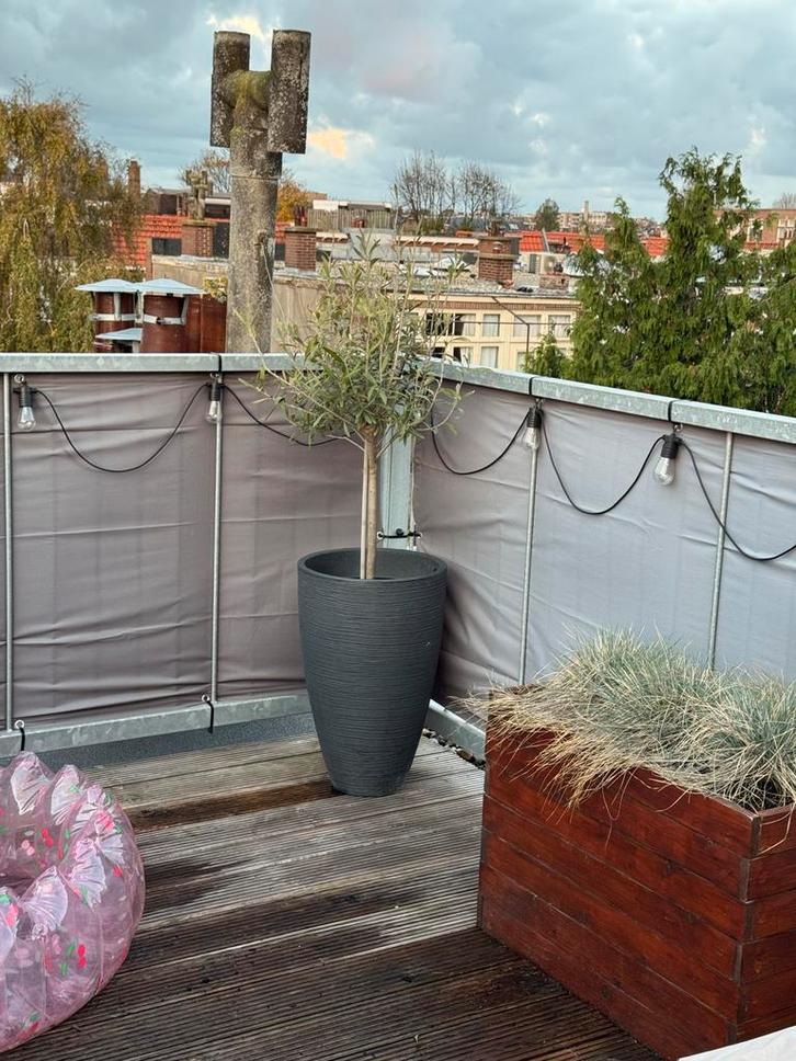 Olijfboom met pot - Sfeervol en Groen!, Tuin en Terras, Bloempotten, Zo goed als nieuw, Kunststof, Binnen, 70 cm of meer, 25 tot 40 cm