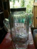 Glazen cactus kan, nieuw, met gratis neon lampje, Overige kleuren, Nieuw, Ophalen of Verzenden, Glas