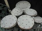 Seltmann Weiden Bavaria 6 persoons servies ZELDZAAM roses, Antiek en Kunst, Antiek | Servies compleet, Ophalen of Verzenden