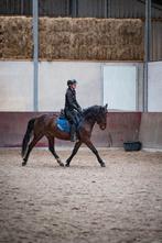 Leuke 6 jarige ruin, Dieren en Toebehoren, Pony's