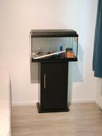 Aquarium 60L, Ophalen of Verzenden, Zo goed als nieuw, Leeg aquarium