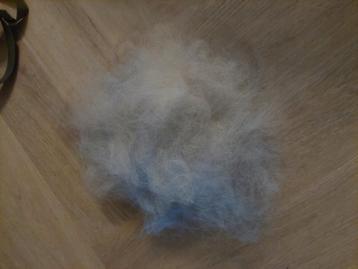 Aussie wol under en upper coat beschikbaar voor biedingen