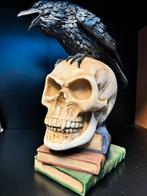 Raaf op skull met boeken, Verzamelen, Ophalen of Verzenden, Zo goed als nieuw