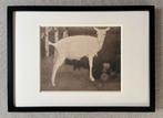 Jan Mankes 1889-1920 / Heliogravure Jonge Witte Geit 1923, Antiek en Kunst, Kunst | Etsen en Gravures, Ophalen of Verzenden