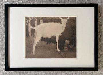 Jan Mankes 1889-1920 / Heliogravure Geit bij het Meer 1923 beschikbaar voor biedingen