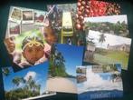9 ansichtkaarten van Ambon / Maluku / Molukken, Verzamelen, Ophalen of Verzenden, 1980 tot heden, Ongelopen, Buiten Europa