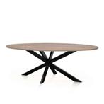 Vergadertafel Elllips  (Andere vormen mogelijk), Overige vormen, Ellips, Nieuw, 200 cm of meer