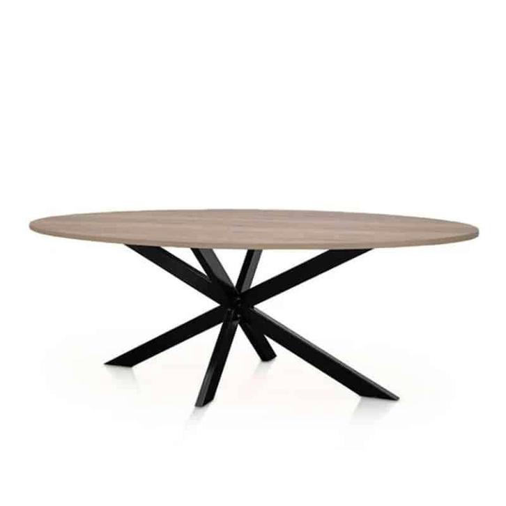 Vergadertafel Elllips  (Andere vormen mogelijk), Huis en Inrichting, Tafelonderdelen, Nieuw, 200 cm of meer, 50 tot 100 cm, Overige vormen