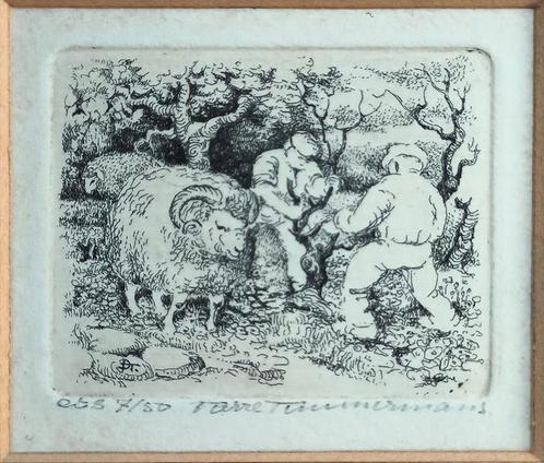 Originele etsjes  set van 6  Pierre Timmermans Zeldzame etse, Antiek en Kunst, Kunst | Etsen en Gravures, Ophalen of Verzenden