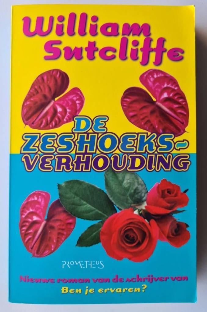 De zeshoeksverhouding - William Sutcliffe, Boeken, Romans, Zo goed als nieuw, Ophalen of Verzenden