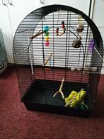 Te koop vogelkooi incl speeltjes, Ophalen, Zo goed als nieuw, Metaal, Vogelkooi