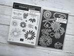 Stampin' Up - stempels en stansen / dies v.a. €25, Ophalen of Verzenden, Gebruikt, Overige typen