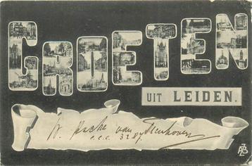 (701-373-047) Leiden beschikbaar voor biedingen