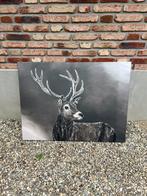 Hert op canvas, Ophalen, 75 tot 100 cm, 75 cm of meer, Print