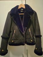 Zwarte Comma, Bikerjas Maat 36, Zwart, Nieuw, Ophalen of Verzenden, Maat 36 (S)