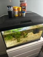 Gratis! Aquarium, Dieren en Toebehoren, Vissen | Aquaria en Toebehoren, Ophalen, Gebruikt, Gevuld zoetwateraquarium
