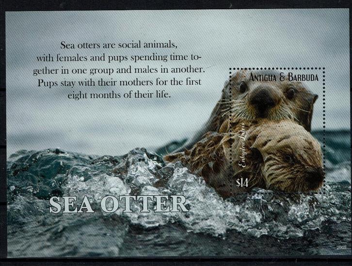ANTIGUA 2020 PF BLOK OTTERS WILDLIFE ZOOGDIEREN ZEELEVEN, Postzegels en Munten, Postzegels | Thematische zegels, Postfris, Dier of Natuur
