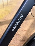 Pegasus SIENA E7F Elektrische fiets met BOSCH midden motor!, Fietsen en Brommers, Overige merken, Zo goed als nieuw, 59 cm of meer