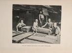 NL Indië - De Gambir (Sirih medicijn) productie 1914, Ophalen of Verzenden