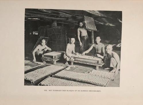 NL Indië - De Gambir (Sirih medicijn) productie 1914, Antiek en Kunst, Antiek | Boeken en Bijbels, Ophalen of Verzenden