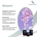 Blossom - Aroma Geurolie voor Geurmachines, Hooijdonkseweg 8A Breda, Ophalen of Verzenden, Info@perfectscents.nl, Perfect Scents Breda