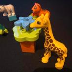 Duplo Jonge Dieren Set - Dierentuin, Kinderen en Baby's, Speelgoed | Duplo en Lego, Ophalen, Zo goed als nieuw, Complete set, Duplo