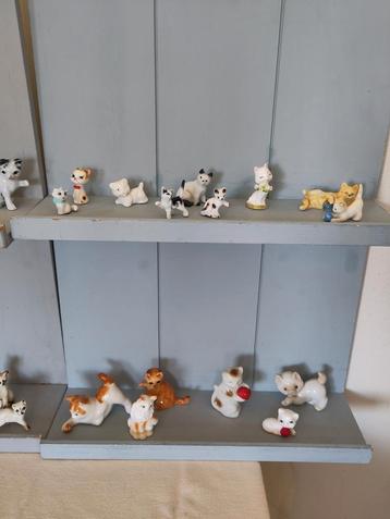 Heel veel minikatjes  beschikbaar voor biedingen