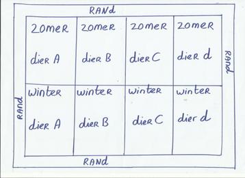 Borduurpatroon gezocht  beschikbaar voor biedingen