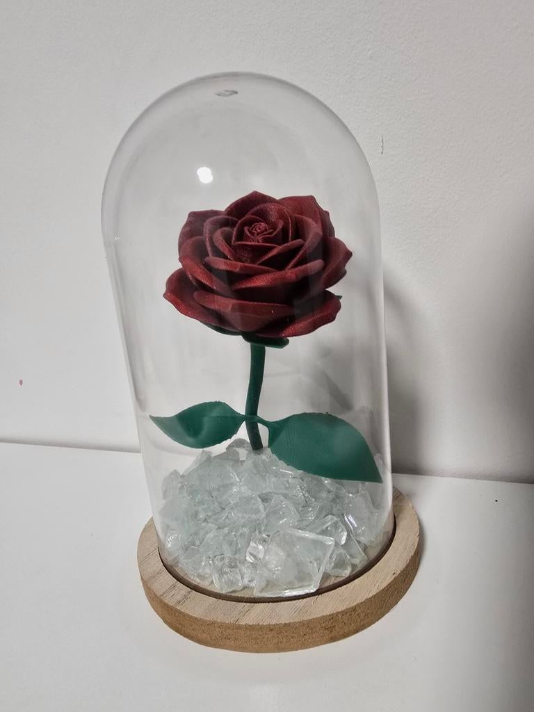 3D Geprinte Roos in Stolp - Valentijn - Decoratief, Ophalen of Verzenden, Nieuw