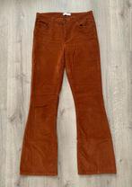 Broek Fabienne Chapot Eva Corduray Flair - maat 29-34, Bruin, Ophalen of Verzenden, Zo goed als nieuw, Fabienne Chapot
