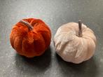 2 herfstpompoentjes - doorsnede 7,5 cm, Ophalen of Verzenden, Zo goed als nieuw