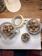 Oude Bodemvondsten: Musketkogels & Loden Objecten, Ophalen of Verzenden, Gebruikt