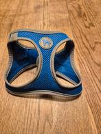 Honden y tuigje voor pup kleine rassen, Dieren en Toebehoren, Ophalen of Verzenden