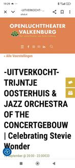 GEZOCHT!! KAARTJES Trijntje Oosterhuis Theater Valkenburg, Tickets en Kaartjes, Twee personen, Overige soorten