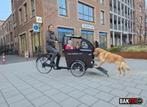 Babboe Dog Bakfiets - Ideaal voor hond en kinderen!, Fietsen en Brommers, Fietsen | Bakfietsen, Overige merken, Gebruikt, Ophalen of Verzenden