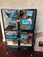Grote ratten/frettenkooi+ plexiglazen bak, Dieren en Toebehoren, Ophalen, Kooi, Gebruikt, Rat