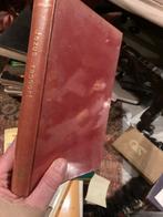 Jezus-rapport - Johannes Lehmann, Boeken, Ophalen of Verzenden, Gelezen, Christendom | Katholiek