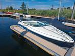 Te koop sea ray, Watersport en Boten, Speedboten, Ophalen of Verzenden, Zo goed als nieuw, Minder dan 70 pk, 3 tot 6 meter