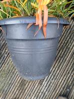 Gezocht  ACTION  Bloempotten, ca. 44cm diameter, Ophalen, Kunststof, Gebruikt, 40 cm of meer