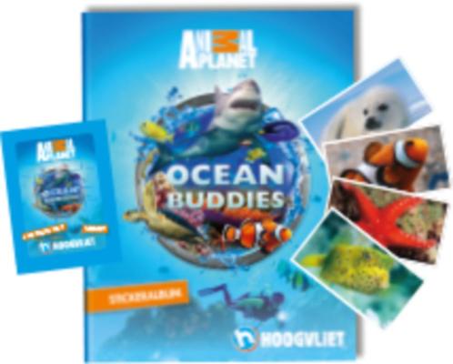 moeilijk te krijgen ocean buddies stickers hoogvliet, Verzamelen, Supermarktacties, Overige supermarkten, Ophalen of Verzenden