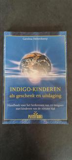 C. Hehenkamp - Indigo-kinderen als geschenk en uitdaging, Ophalen of Verzenden, Zo goed als nieuw, C. Hehenkamp