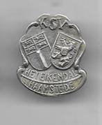 HAAMSTEDE HET EIKENDAL BROCHE SPELD, Verzenden, Gebruikt, Stad of Land, Speldje of Pin