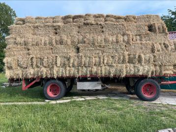 kruidenrijk hooi eerste snee 2025 beschikbaar voor biedingen