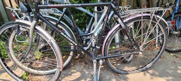 opknap fiets damesfiets herenfiets papafiets beschikbaar voor biedingen