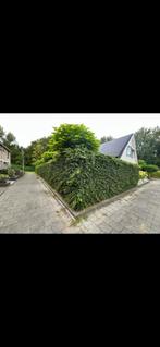 Tuinman aangeboden, Ophalen, Nieuw
