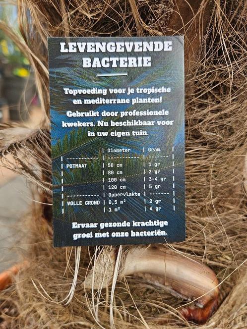 Voeding voor (sub) (tropische) bomen planten, Tuin en Terras, Plantenvoeding, Nieuw, Ophalen of Verzenden