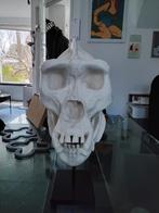 Schedel gorilla replica, Ophalen, Overige typen