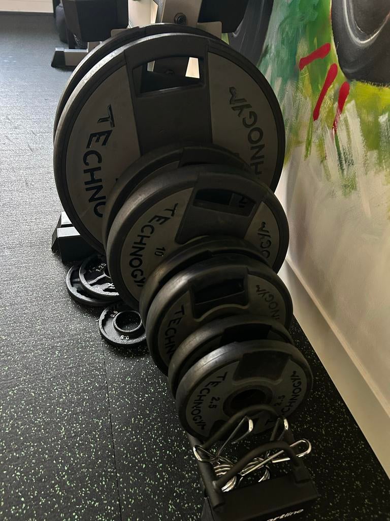 Technogym Halterschijven Set (2x 2.5, 5, 10, 20 kg) incl. re, Sport en Fitness, Ophalen of Verzenden, Gebruikt, Armen, Halterschijven