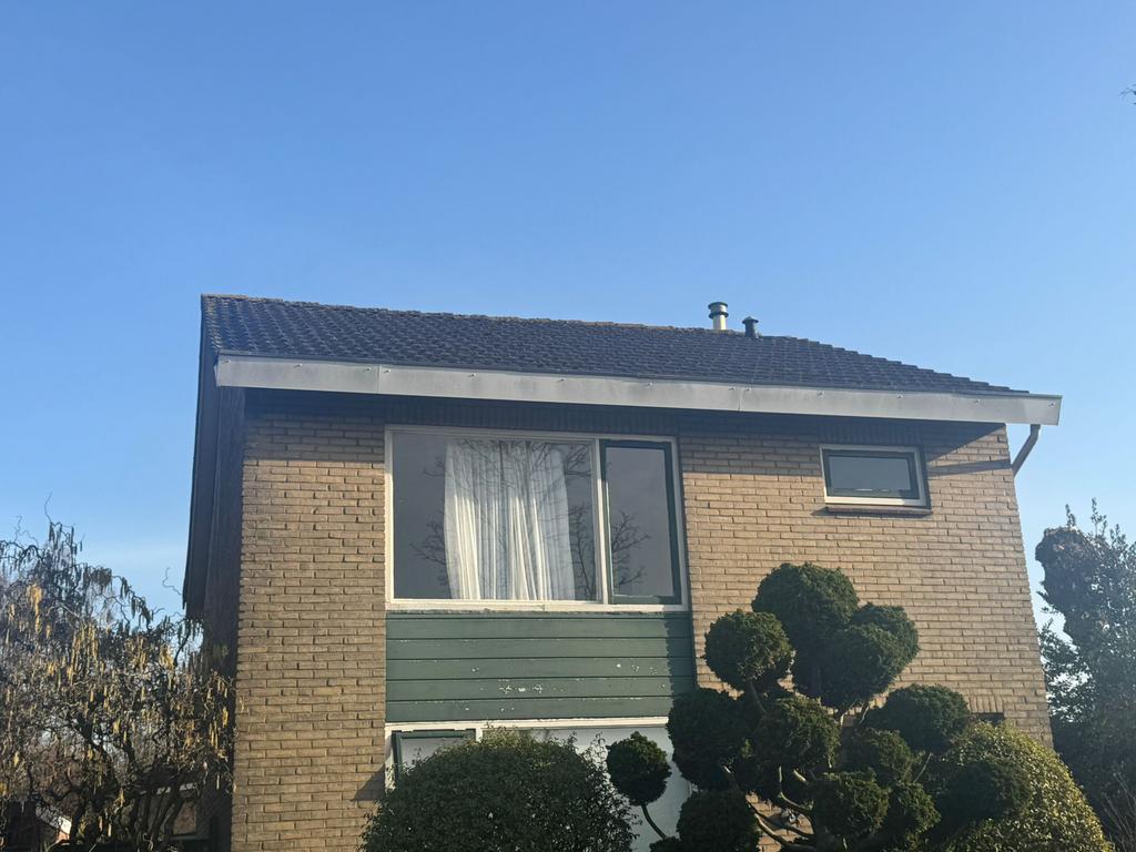 Gratis dakpannen, zelf er af halen in Ootmarsum., Ophalen of Verzenden, Gebruikt